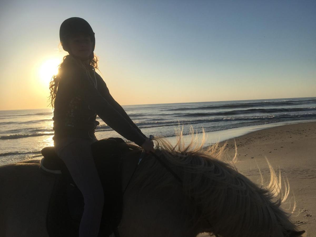 レムヴィー Rikke Og Franks Svineriアパートホテル エクステリア 写真